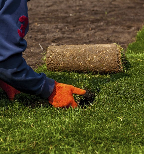 Sod Installation and Removal