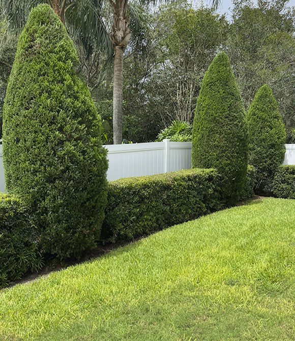 Shrub Trimming