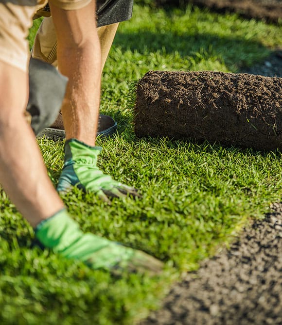 Sod Installation and Removal